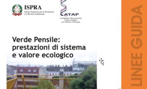 Scopri di più sull'articolo L’importanza di un giardino pensile a norma